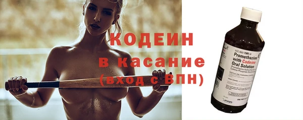 индика Балабаново