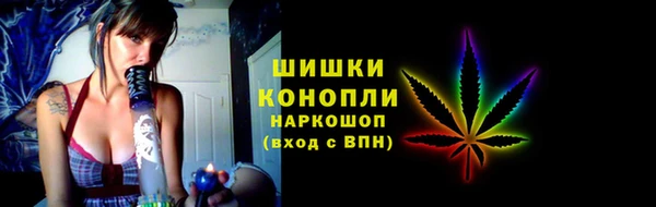 индика Балабаново