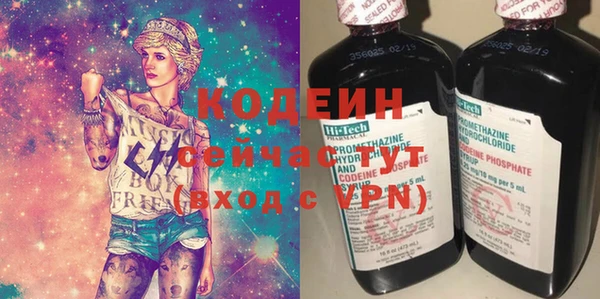 индика Балабаново